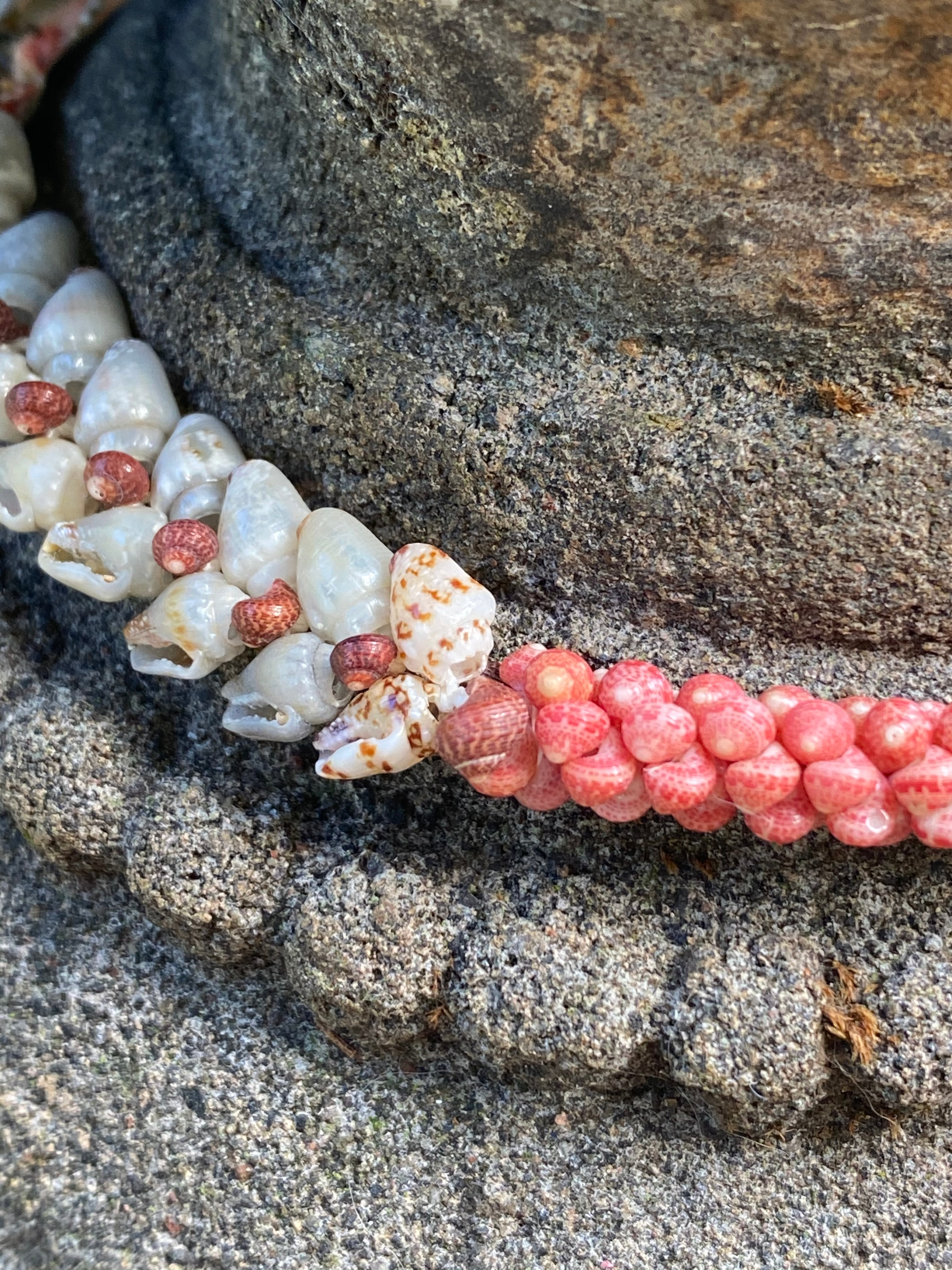 Niihau shell jewelry . 😊😊😊😊#niihaushells編み方ワークショップやってないかなー  #niihaushelljewelry #shellshawaii #earrings #handmadejewelry  #handmadewithlove… | Instagram